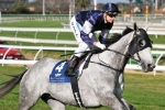 Adelaide Cup Winner Riayla Heads RA Lee Stakes Field 2013