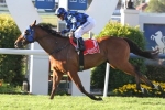 Heathcote Confident of Fourth Group 1 for Buffering in Doomben 10,000