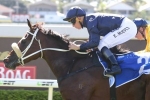 2015 The Roses Odds: Ballet Suite the Favourite