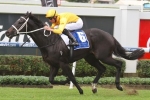 JJ Atkins Hopes Head BRC Sires’ Produce Stakes 2014 Field