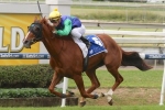 2014 Tattersall’s Cup Nominations