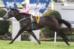 2014 Queensland Oaks Form Guide & Betting Preview