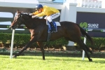 NZ-Bred Key for Bohemian Lily in Moonee Valley Cup