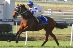 2014 Queensland Derby Form & Betting Guide