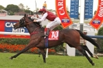2013 VRC Sprint Classic Tips & Selections