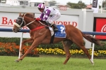Rhythm To Spare Potential 2013 Queensland Derby Danger