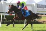 2015 Queensland Derby Form Guide & Betting Preview