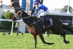 Winx Leads Theo Marks Stakes 2015 Odds