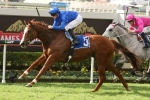 Hazard No Certainty for Let’s Elope Stakes