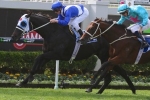 Mackinnon Stakes a Good Fit for Flamingo Star