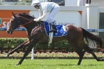 Frequendly Leads 2015 Lancaster Stakes Field