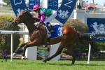 2015 George Moore Stakes Betting Tips