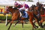 Hopfgarten Fighting Fit Ahead of 2014 Recognition Stakes