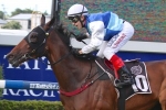 Rudy Ready for 2014 Villiers Stakes