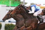 Doomben Cup May Figure for Rudy