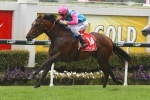 Sold For Song Included in Sunshine Coast Guineas Nominations