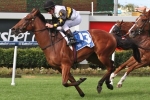 2014 Gold Coast Guineas Nominations