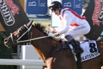 2015 Melbourne Cup Distance Issue for Beaten Up