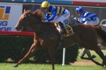 2014 Hollindale Stakes to Decide Path for Angel Of Mercy