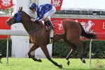 2015 Manikato Stakes Form Guide & Betting Preview