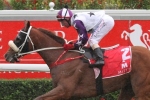 Bary Rolls Dice With Queensland Derby 2013 Favourite