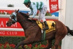 2013 Queensland Derby Form Guide & Betting Analysis