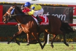 2014 Moonga Stakes Final Field Led by River Lad