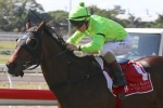 Transporter Races Away With 2014 Strawberry Road Handicap Win