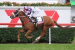 2013 Queensland Derby Winner Hawkspur Future Melbourne Cup Horse – Cassidy