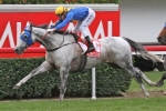 2013 Emirates Stakes Day Scratchings And Track Report