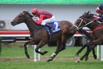 2013 Danehill Stakes Nominations Released