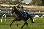 Provocative to Target 2016 Caulfield Cup