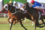 The Inventor Could Skip 2014 Queensland Cup