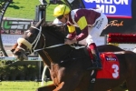 Index Linked Heads 2016 Caloundra Cup Field