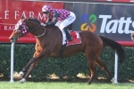 2015 Magic Millions Open Sprint – Excellantes in Barrier 5
