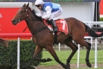 Rudy Odds-On Favourite in 2014 Brisbane Handicap Betting