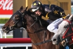 Dunn Confident in Gold Coast Guineas Success for Londehero