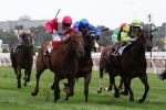 Small 2015 Australia Stakes Field Lures Hard Stride