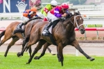 Hucklebuck Leads 2014 Yellowglen Stakes Betting