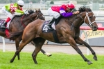 Hucklebuck Claims Memorable 2014 CS Hayes Stakes