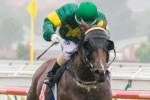 Snitzerland Tops 2014 Victory Stakes Odds