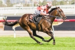 Black Caviar Eases Pressure For Barakey in 2013 Oakleigh