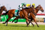 Speediness 2013 Scone Cup Horse to Beat – Bennett