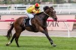 Caulfield Sprint Nominations Packed With Talent