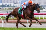 Mouro Headlines 2014 Lord Stakes Field