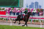 Fiorente and Shamus Award to Face Off in 2014 Australian Cup