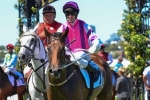 Doveton Stakes And Christmas Stakes The Targets For Loveyamadly