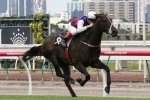 Madam Gangster Takes Out Frances Tressady Stakes