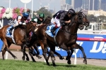 Ranvet Stakes 2014 Tips & Form Selections