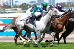Puissance De Lune Resumes in P.B. Lawrence Stakes 2013 Field
